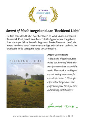 De film 'Beeldend Licht' wint Award of Merit | Atelier Galerie Annemiek Punt in Ootmarsum