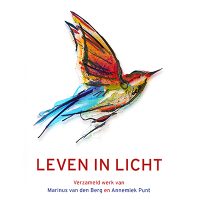 Het boek 'Leven in Licht', Marinus van den Berg Annemiek Punt - Glaskunst van Annemiek Punt in Ootmarsum